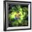 An Unusual Nebula in the Cosmos Has a Heart at its Center-null-Framed Art Print