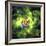 An Unusual Nebula in the Cosmos Has a Heart at its Center-null-Framed Art Print