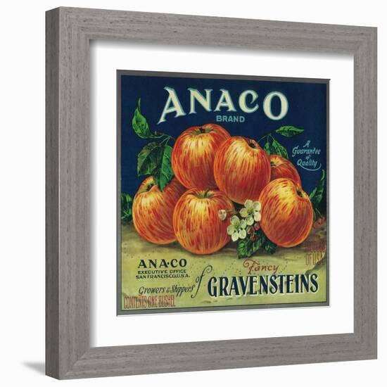 Anaco Apple Crate Label - San Francisco, CA-Lantern Press-Framed Art Print