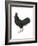 Anacona (Gallus Gallus Domesticus), Rooster, Poultry, Birds-Encyclopaedia Britannica-Framed Art Print