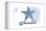 Anacortes, Washington - Starfish - Blue - Coastal Icon-Lantern Press-Framed Stretched Canvas