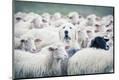 Premium Photographic Print
