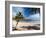 Anakena Beach, Rapa Nui (Easter Island), UNESCO World Heritage Site, Chile, South America-Sergio Pitamitz-Framed Photographic Print