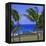 Anakena Beach with Ahu Nau Nau, Easter Island, Chile, Pacific-Geoff Renner-Framed Premier Image Canvas