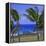 Anakena Beach with Ahu Nau Nau, Easter Island, Chile, Pacific-Geoff Renner-Framed Premier Image Canvas