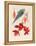 Analytical Drawing of a Flower, Leaves and a Section of Branch (W/C and Bodycolour on Card)-Alfred Riocreux-Framed Premier Image Canvas