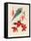 Analytical Drawing of a Flower, Leaves and a Section of Branch (W/C and Bodycolour on Card)-Alfred Riocreux-Framed Premier Image Canvas