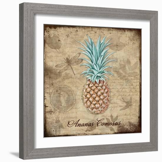 Ananas Comosus-Tina Lavoie-Framed Giclee Print