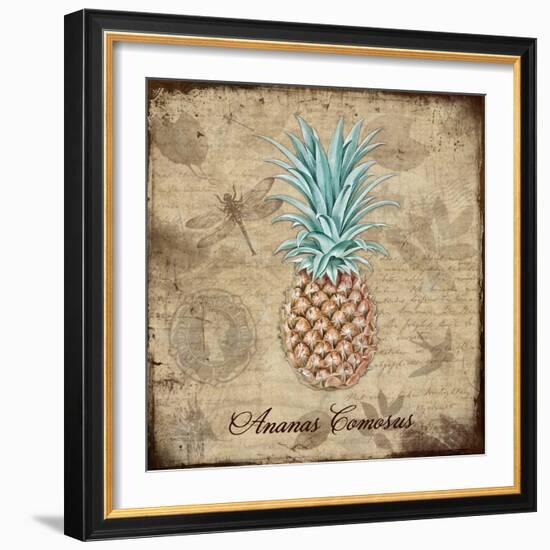 Ananas Comosus-Tina Lavoie-Framed Giclee Print