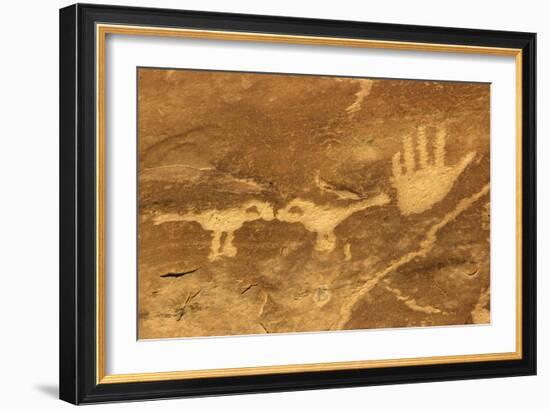 Anasazi/Ancient Puebloan Petroglyphs of the Parrot Clan Symbol, Mesa Verde National Park, Colorado-null-Framed Photographic Print