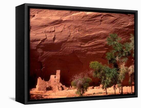 Anasazi Antelope House Ruin and Cottonwood Trees, Canyon de Chelly National Monument, Arizona, USA-Alison Jones-Framed Premier Image Canvas