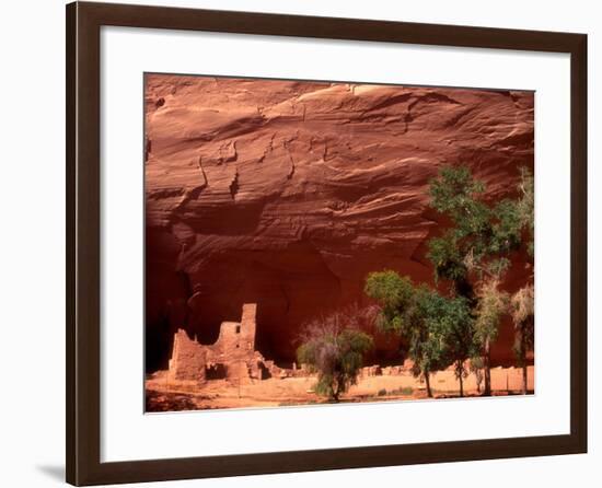 Anasazi Antelope House Ruin and Cottonwood Trees, Canyon de Chelly National Monument, Arizona, USA-Alison Jones-Framed Photographic Print