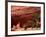 Anasazi Antelope House Ruin and Cottonwood Trees, Canyon de Chelly National Monument, Arizona, USA-Alison Jones-Framed Photographic Print