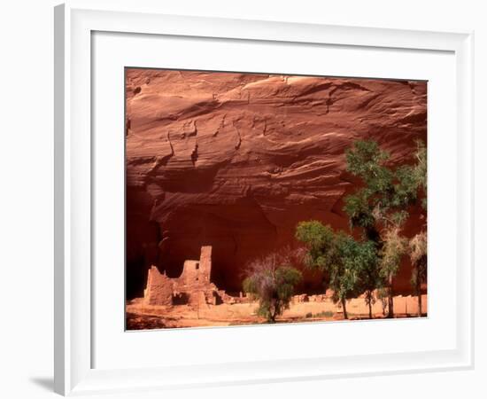 Anasazi Antelope House Ruin and Cottonwood Trees, Canyon de Chelly National Monument, Arizona, USA-Alison Jones-Framed Photographic Print