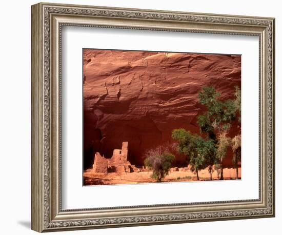 Anasazi Antelope House Ruin and Cottonwood Trees, Canyon de Chelly National Monument, Arizona, USA-Alison Jones-Framed Photographic Print