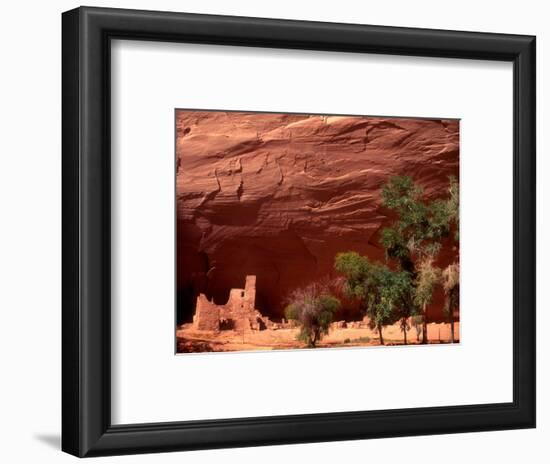 Anasazi Antelope House Ruin and Cottonwood Trees, Canyon de Chelly National Monument, Arizona, USA-Alison Jones-Framed Photographic Print