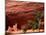 Anasazi Antelope House Ruin and Cottonwood Trees, Canyon de Chelly National Monument, Arizona, USA-Alison Jones-Mounted Photographic Print
