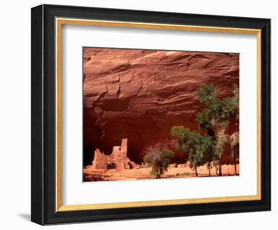 Anasazi Antelope House Ruin and Cottonwood Trees, Canyon de Chelly National Monument, Arizona, USA-Alison Jones-Framed Photographic Print