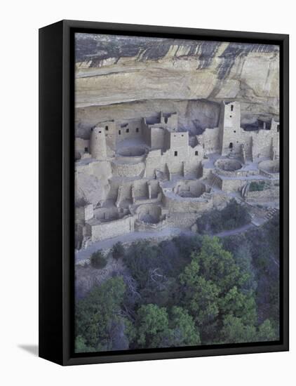 Anasazi Cliff Dwelling, Cliff Palace, Mesa Verde National Park, Colorado, USA-William Sutton-Framed Premier Image Canvas