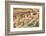 Anasazi Ruins, Cliff Palace, Dating from Between 600 Ad and 1300 Ad-Richard Maschmeyer-Framed Photographic Print