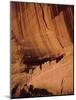 Anasazi White House Ruins, Canyon De Chelly, Arizona, USA-Michael Howell-Mounted Photographic Print