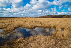 Flooded Meadows in Early Spring-Anatolii Lyzun-Photographic Print