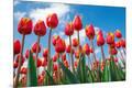 Photographic Print