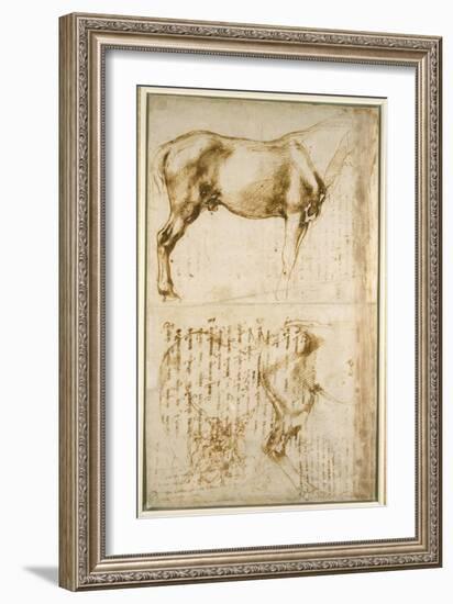 Anatomic Horse Study, 1504-Michelangelo Buonarroti-Framed Giclee Print