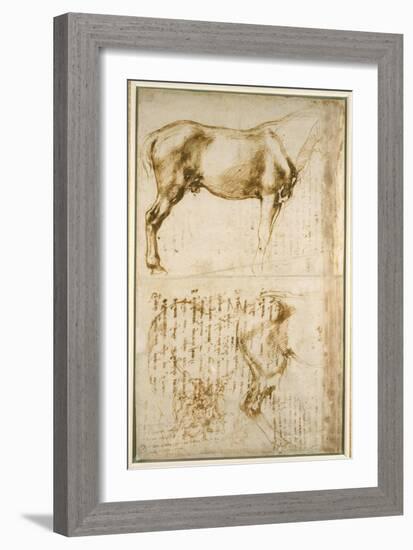 Anatomic Horse Study, 1504-Michelangelo Buonarroti-Framed Giclee Print