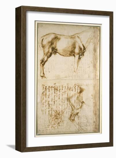 Anatomic Horse Study, 1504-Michelangelo Buonarroti-Framed Giclee Print