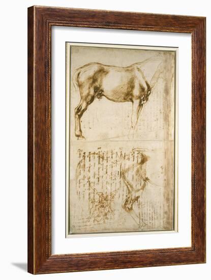 Anatomic Horse Study, 1504-Michelangelo Buonarroti-Framed Giclee Print