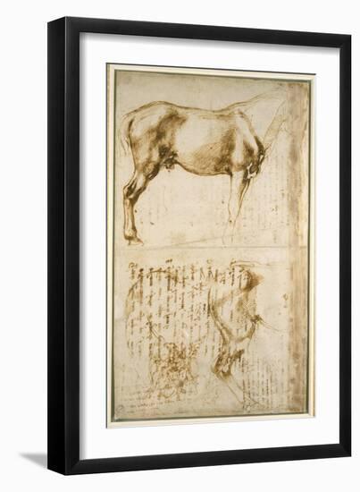 Anatomic Horse Study, 1504-Michelangelo Buonarroti-Framed Giclee Print