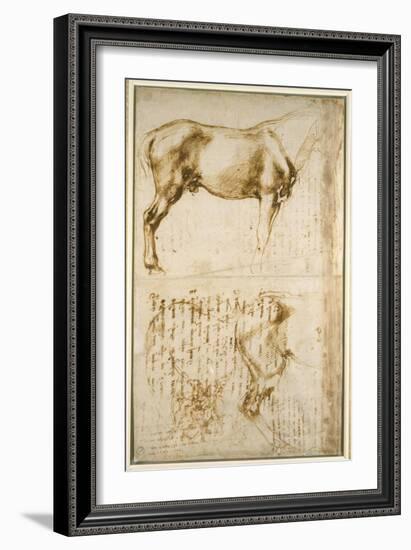 Anatomic Horse Study, 1504-Michelangelo Buonarroti-Framed Giclee Print