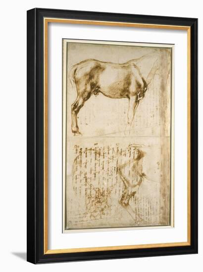 Anatomic Horse Study, 1504-Michelangelo Buonarroti-Framed Giclee Print