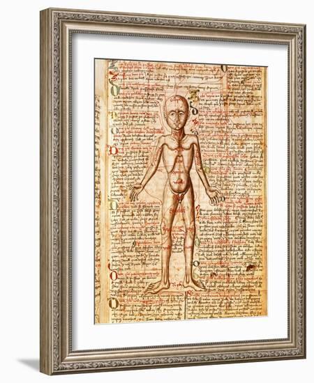 Anatomical Chart of Human Body, Tractatabus de Pestilentia, 15th century Manuscript by M. Albik-null-Framed Giclee Print