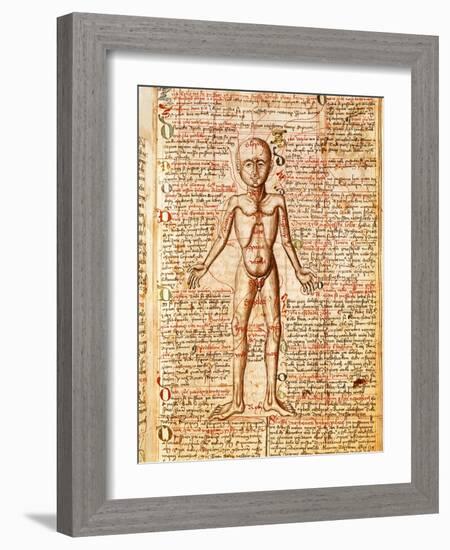 Anatomical Chart of Human Body, Tractatabus de Pestilentia, 15th century Manuscript by M. Albik-null-Framed Giclee Print