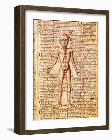 Anatomical Chart of Human Body, Tractatabus de Pestilentia, 15th century Manuscript by M. Albik-null-Framed Giclee Print