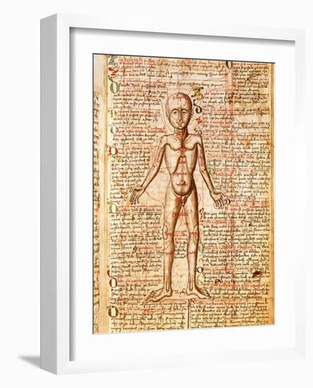 Anatomical Chart of Human Body, Tractatabus de Pestilentia, 15th century Manuscript by M. Albik-null-Framed Giclee Print