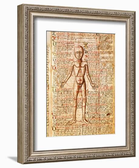 Anatomical Chart of Human Body, Tractatabus de Pestilentia, 15th century Manuscript by M. Albik-null-Framed Giclee Print