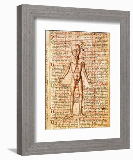 Anatomical Chart of Human Body, Tractatabus de Pestilentia, 15th century Manuscript by M. Albik-null-Framed Giclee Print