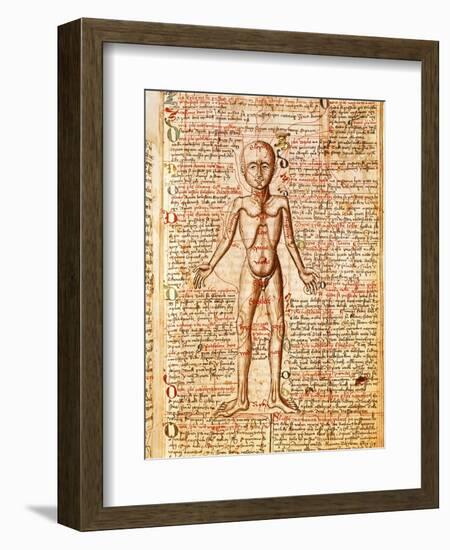 Anatomical Chart of Human Body, Tractatabus de Pestilentia, 15th century Manuscript by M. Albik-null-Framed Giclee Print