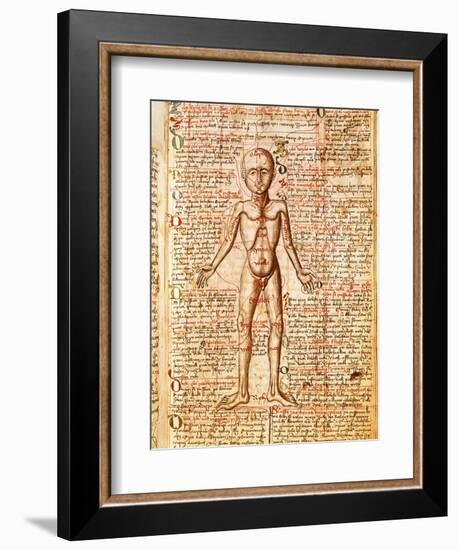 Anatomical Chart of Human Body, Tractatabus de Pestilentia, 15th century Manuscript by M. Albik--Framed Giclee Print