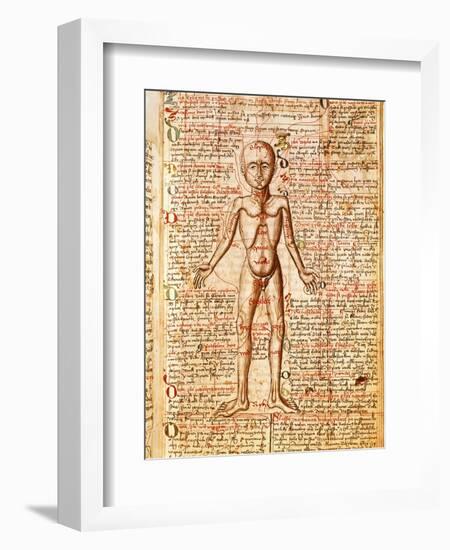 Anatomical Chart of Human Body, Tractatabus de Pestilentia, 15th century Manuscript by M. Albik-null-Framed Giclee Print