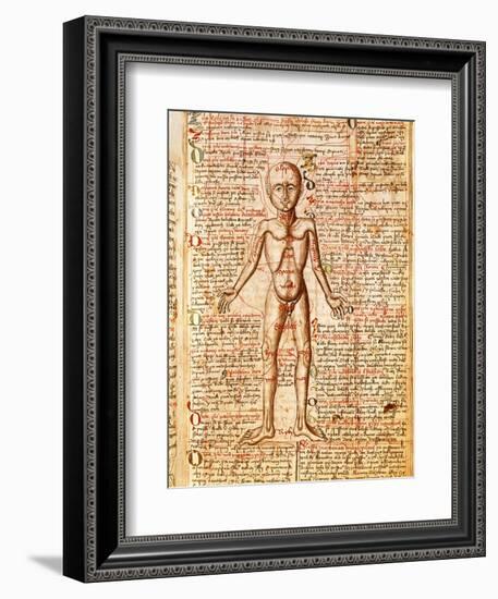 Anatomical Chart of Human Body, Tractatabus de Pestilentia, 15th century Manuscript by M. Albik-null-Framed Giclee Print