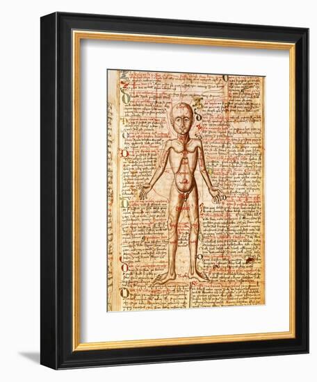 Anatomical Chart of Human Body, Tractatabus de Pestilentia, 15th century Manuscript by M. Albik--Framed Giclee Print