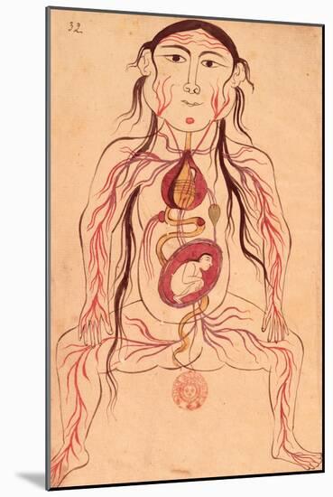 Anatomical Diagram of a Woman and Her Foetus-Mansour B. Eliyas Chirazi-Mounted Giclee Print