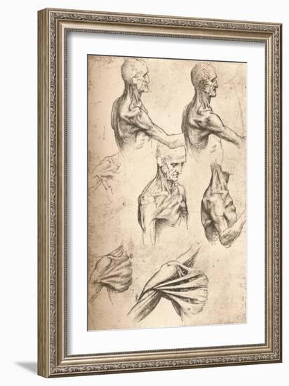 Anatomical Drawing, C1472-C1519 (1883)-Leonardo da Vinci-Framed Giclee Print