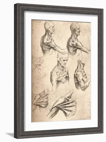 Anatomical Drawing, C1472-C1519 (1883)-Leonardo da Vinci-Framed Giclee Print