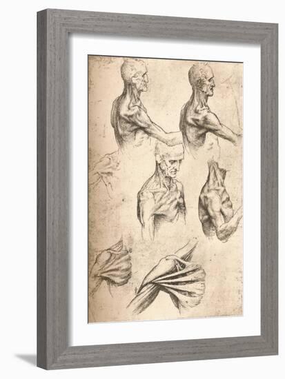 Anatomical Drawing, C1472-C1519 (1883)-Leonardo da Vinci-Framed Giclee Print