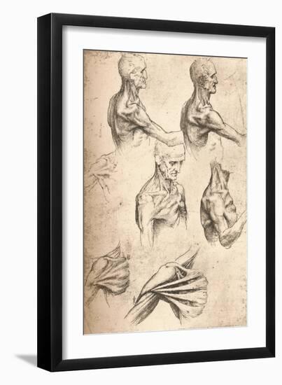 Anatomical Drawing, C1472-C1519 (1883)-Leonardo da Vinci-Framed Giclee Print